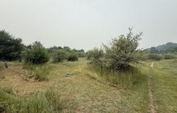 20 Acres E M-30 Highway, Alger, MI 48610