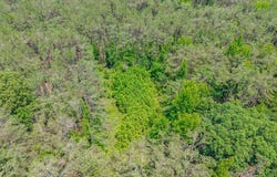 County Road 224, WATER VALLEY, MS 38965