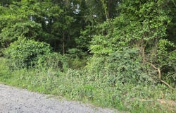 2300 Dennis Road, Macon, GA 31220