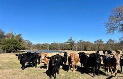 County Road 2104, Kemp, TX 75143
