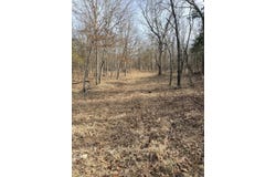 11615 State Highway 32, Stockton, MO 65785