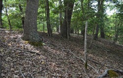 Old Mill Lane, Heathsville, VA 22473