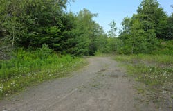 Osceola Rd, Lewis, NY 13489