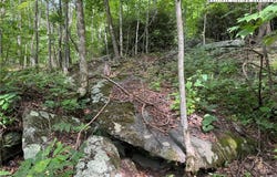 Boulder Gardens Road, Banner Elk, NC 28604