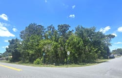 Dunkirk Road, Spring Hill, FL 34608