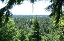 OCEAN VIEW Dr, Florence, OR 97439