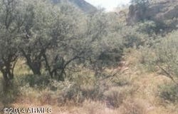 155 E Circulo Milpas Road, Rio Rico, AZ 85648