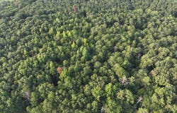 Coogle Road, Oglethorpe, GA 31068