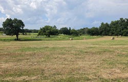22575 CR 2138, Troup, TX 75789