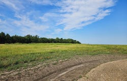 Hayfield Court, Paris, TX 75460