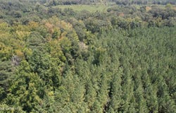 Cr 2132, McCool, MS 39108