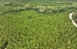 SW Black Creek Road, Gordon, GA 31031