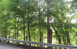 Old State Road, Clarks Summit, PA 18411