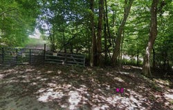 Sheep Bluff Rd, Cookeville, TN 38506