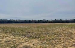 Whitfield Road, Elko, GA 31025