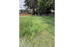 1 Lothlorien, LakeOswego, OR 97034