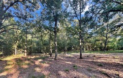 PR 5040 & 5041, Bogata, TX 75417