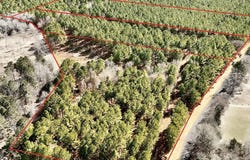 CR 2138, Troup, TX 75789