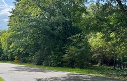 Harris St., Pine Mountain, GA 31822