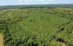 Bryan Rd., Jonesville, LA 71343