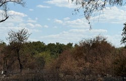 Teague Road, Jacksboro, TX 76458