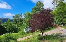 5271 Vardy Blackwater Rd, Sneedville, TN 37869