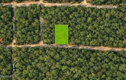 NELL Road, Interlachen, FL 32148