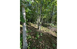 911 Parkstown Road lot: 16, Wilder, TN 38589