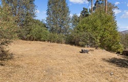289 Glen Avon Drive, Cedar Glen, CA 92321