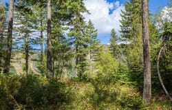 128 Ridge Run Drive, Whitefish, MT 59937