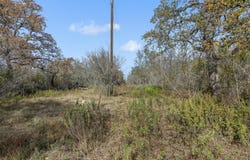 970 Bugtussle Ln, Luling, TX 78648