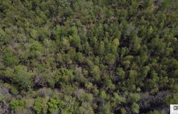 DEER PARK HIGHWAY, Vidalia, LA 71373