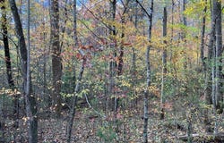 39a Hedden Stiles lot: 0, Murphy, NC 28906