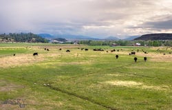45 Pheasant Lane, Columbus, MT 59019