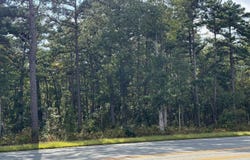 Black Horse Pike, Hammonton, NJ 08037