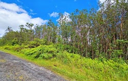 ALA NAULANI RD lot: 46, Volcano, HI 96785