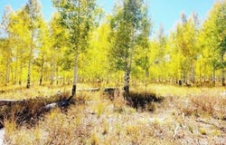 4484 S 2275 E, Cedar City, UT 84720