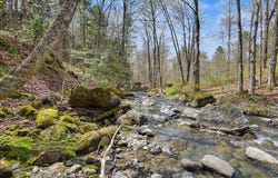 88 Cote Road, Montgomery, VT 05471