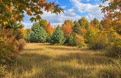 Parcel 2 E Darga Road, Cedar, MI 49621