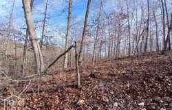 1 E Wirth Rd, Ravenden, AR 72459