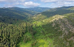 Willow Creek N Fork Road, Livingston, MT 59047