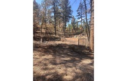 9087 S Pine Dr, Beulah, CO 81023