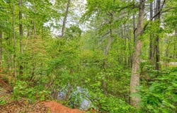 Motlow Creek Road, Campobello, SC 29322