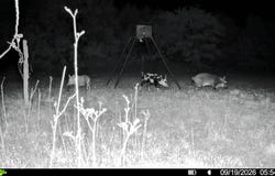 35 AC CR 383, Hawley, TX 79525