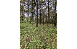 W Dade 2, Jerico Springs, MO 64756