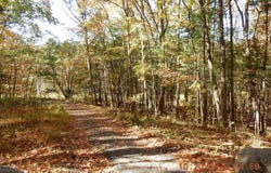 21 SHEPHERDS TRL, HOT SPRINGS, VA 24445
