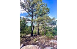 W SENA RANCH Rd, Serafina, NM 87569