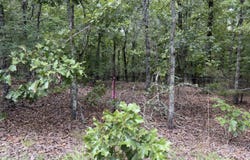 E Cricket Road, Cabot, AR 72023