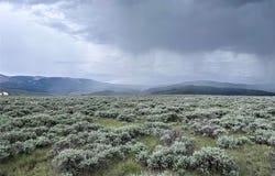 Tract 33 Monte Drive, Wisdom, MT 59761