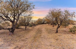 389 N Rocky Trail, Oracle, AZ 85623